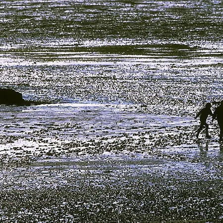 Haubarg Am Lejlighed *