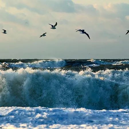 Haubarg Am * Vollerwiek
