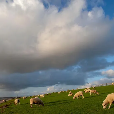 Haubarg Am * Vollerwiek