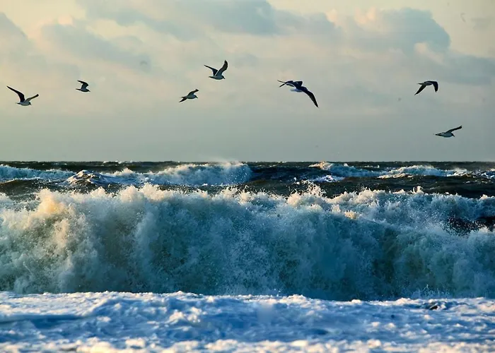 Haubarg Am * Vollerwiek